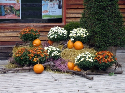 Kolpingausflug 2015_30